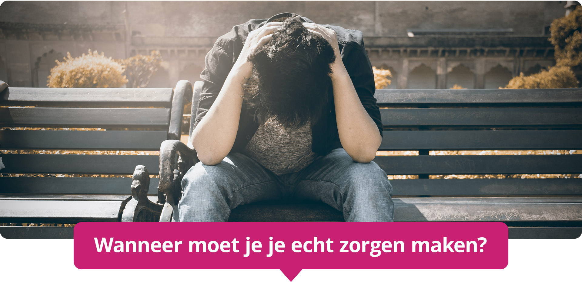 Gratis woordenboek Van Dale Uitgevers